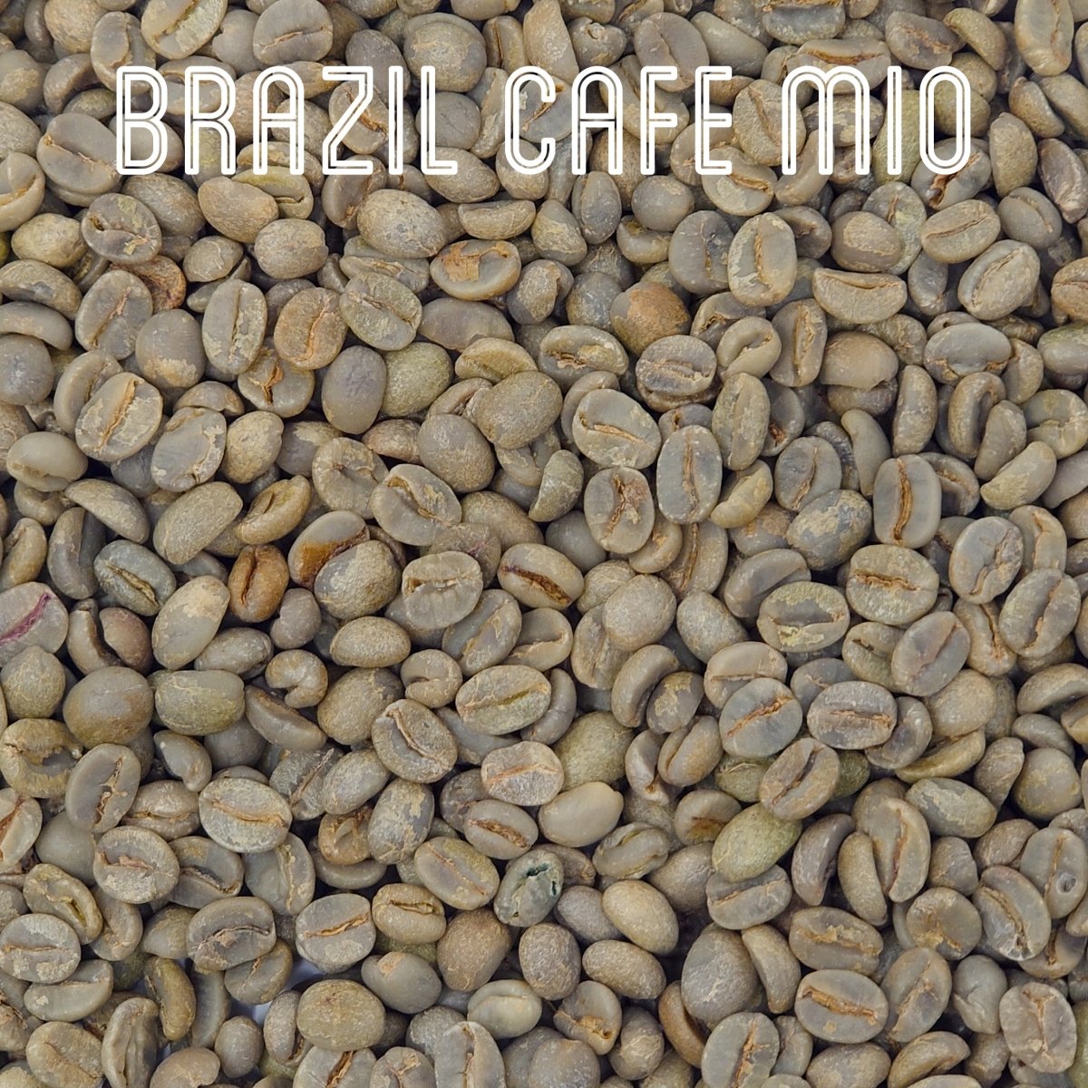 Green Unroasted Coffee Beans | Brazil Cafe Mio | For the Home Roaster, 1kg - Brown Bear Coffee